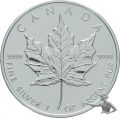 Kanada Maple Leaf 2004 - 1 Unze Feinsilber