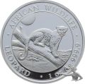 Somalia 100 Shillings 2021 Leopard - 1 Unze Feinsilber