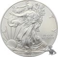 USA Silver Eagle 2013 - 1 Unze Feinsilber