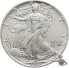 USA Silver Eagle 1989 ----- 1 Unze Feinsilber 999