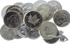 20 St&uuml;ck 1 Unze 999 Feinsilber Maple Leaf